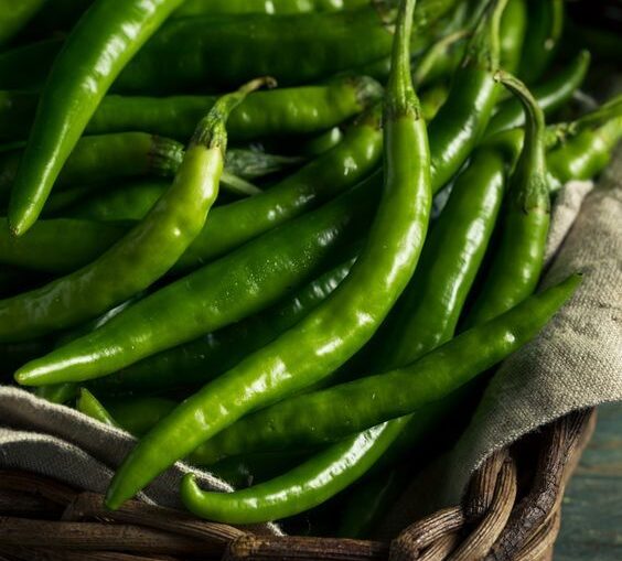 Fresh green chillies in a basket prepared for export.