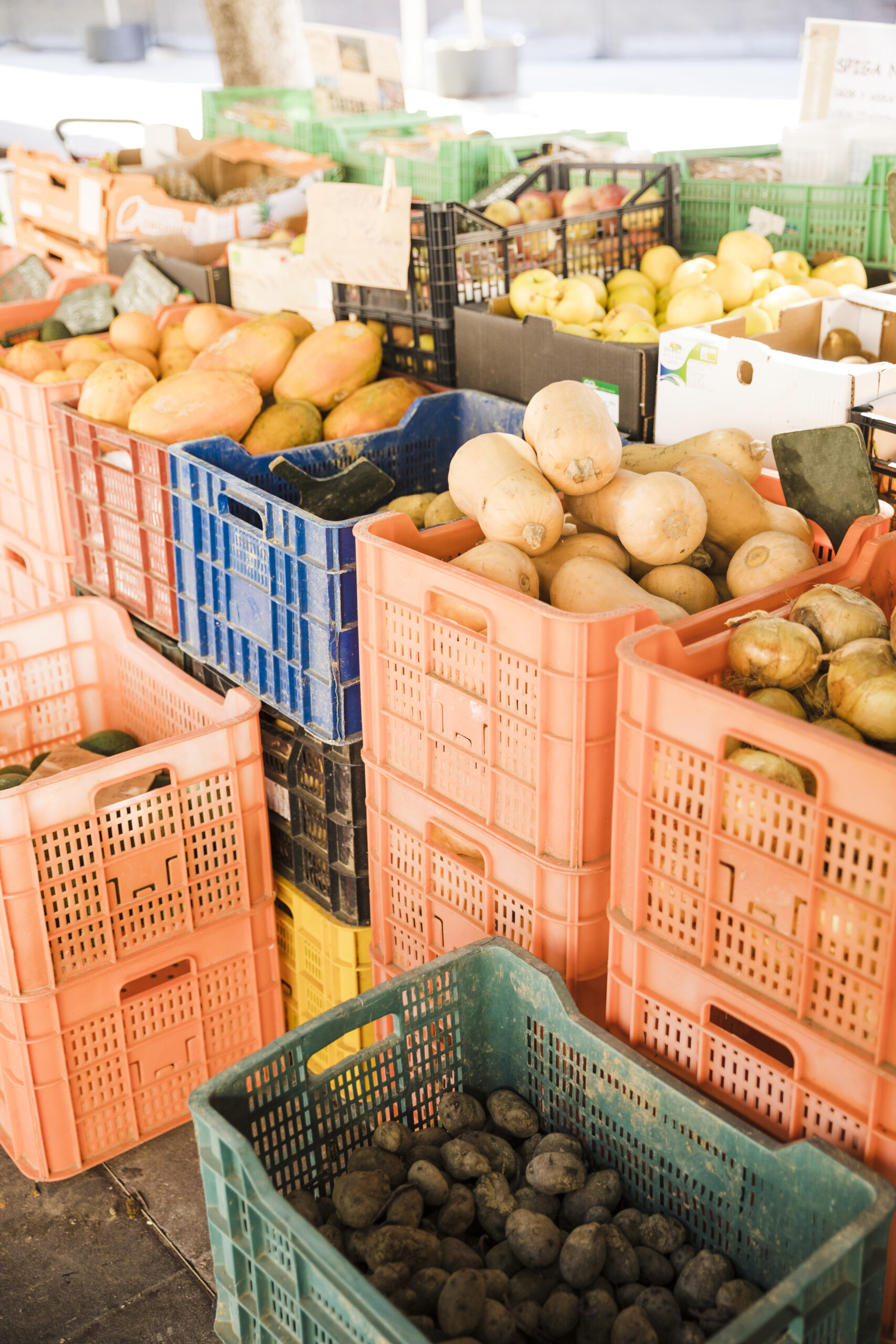 Fresh fruits stored in crates and containers during sorting and packaging for export.